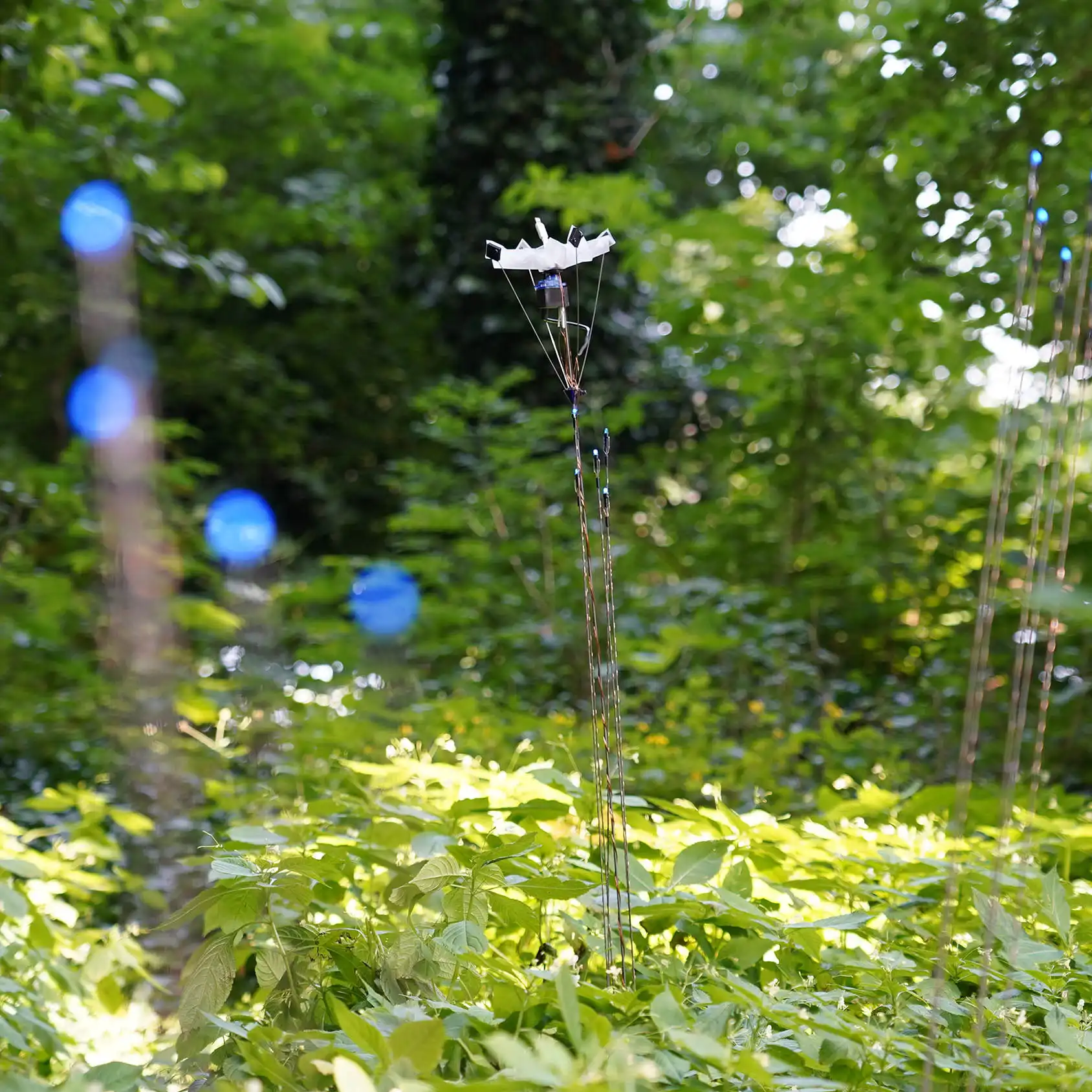multiple slim rods with lights and a blossom attatched at the top are standing in a green and lush field in nature