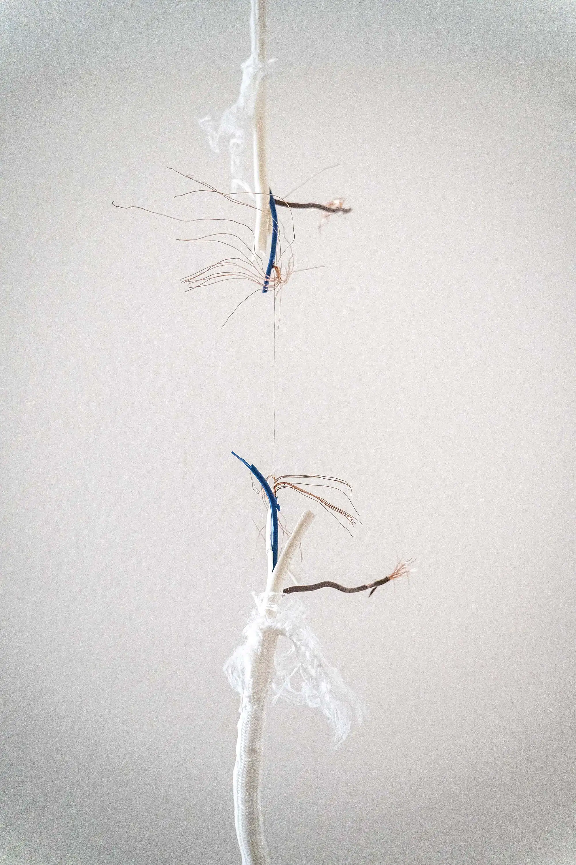 Close up of the installation in front of a white wall. A cable is in the middle of the frame vertically. The middle of the cable is ripped apart, the bare copper strand is visible. 